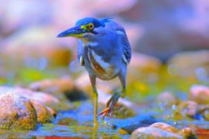 2023-2024赛季西甲联赛球队完整名单及分析西甲联赛球队完整名单